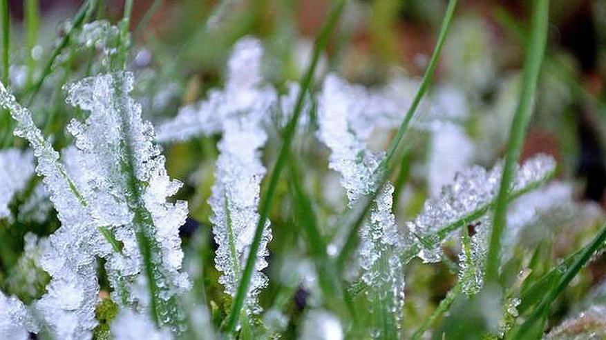 Опять зимняя погода: в Свердловской области снова ожидаются заморозки