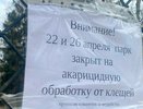 Парки Екатеринбурга пока лучше не посещать. Почему?