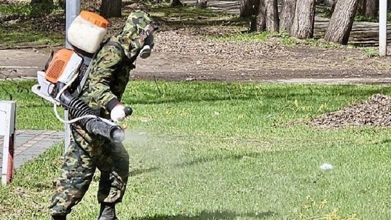 Главная картинка новости: В парк Маяковского будет невозможно попасть. В чём причин?