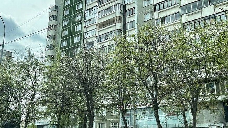 Главная картинка новости: Пришла настоящая весна: в Екатеринбурге зацвели яблони