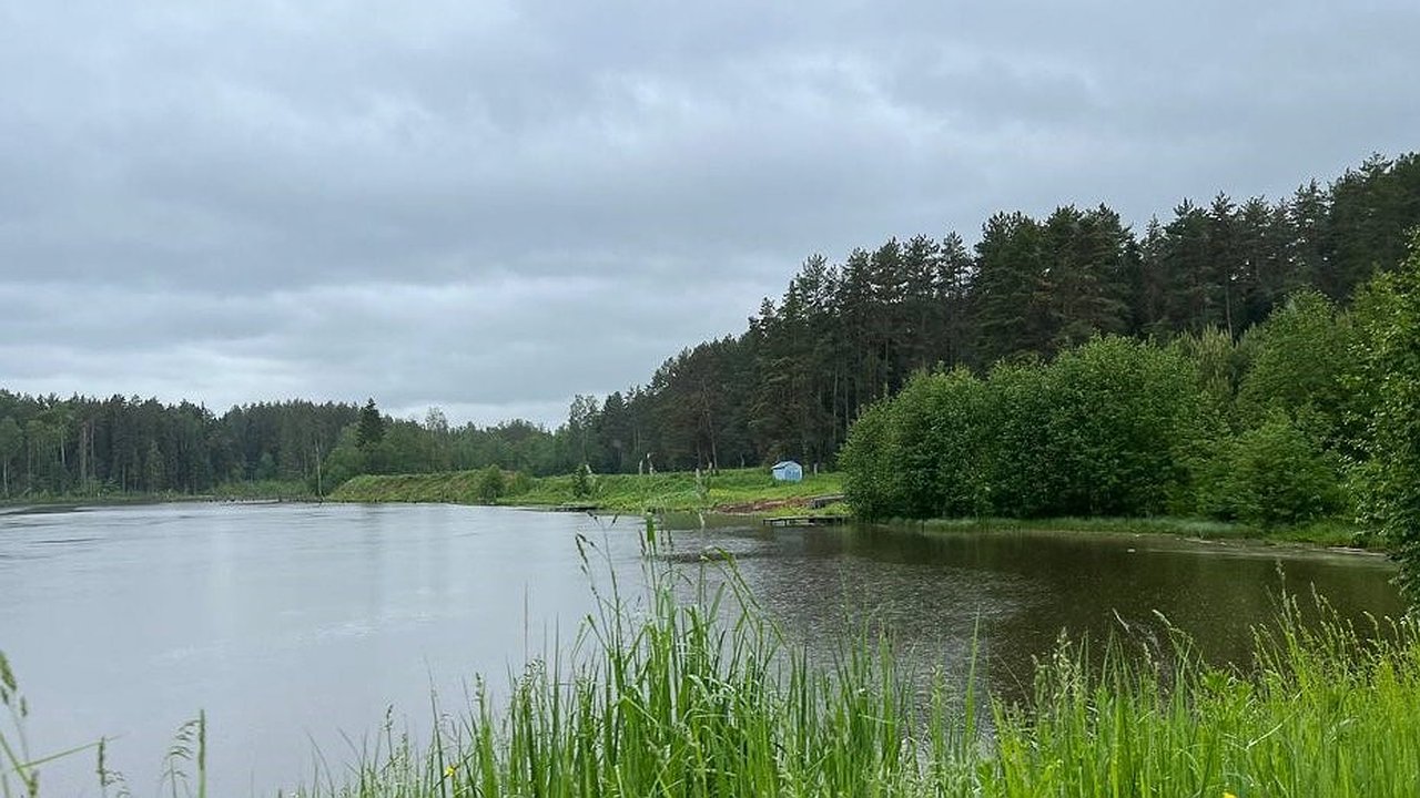 Главная картинка новости: Безопасных водоемов для купания в Свердловской области нет