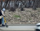 В екатеринбургских парках запретят ездить на электросамокатах