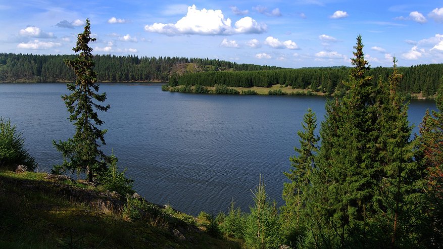 Шесть человек утонули в водоёмах Свердловской области с начала года