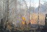Лесные пожары захватывают Свердловскую область