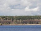 Суд запретил строительство и вырубку деревьев на берегу озера Балтым