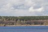 Суд запретил строительство и вырубку деревьев на берегу озера Балтым