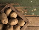 Цены на картофель в Свердловской области резко выросли: что происходит на рынке?