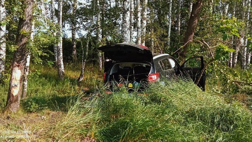В аварии в Свердловской области пострадали бабушка и внук, дедушка погиб