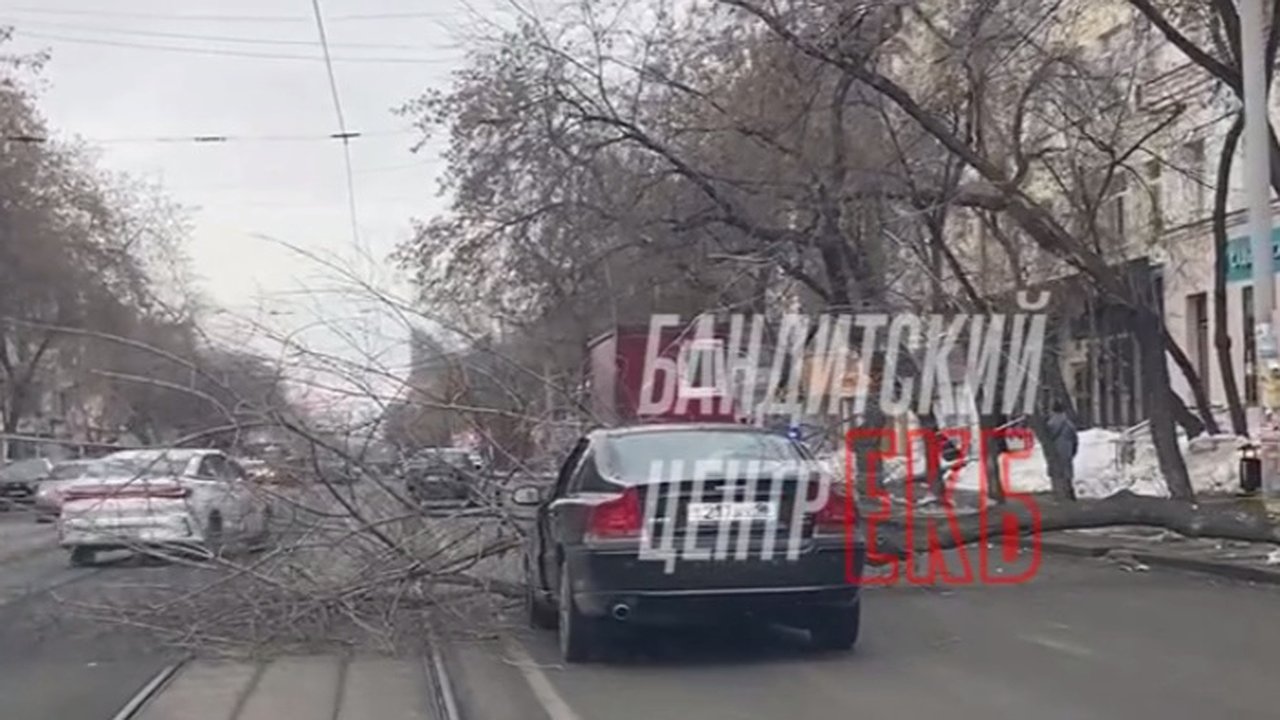 Главная картинка новости: Дерево рухнуло на припаркованный автомобиль в Екатеринбурге