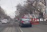 Дерево рухнуло на припаркованный автомобиль в Екатеринбурге