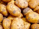 Цена на картофель в Екатеринбурге взлетела до небес