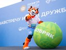 Евгений Куйвашев поручил подготовиться к Играм дружбы в 2025 году