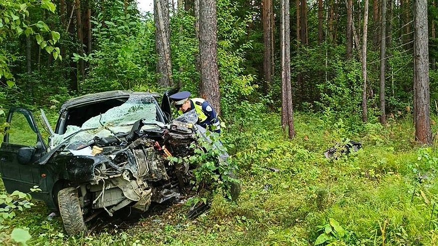 Смертельное ДТП в Нижнем Тагиле: водитель врезался в дерево