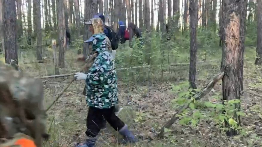 Главная картинка новости: Пропавшую женщину нашли мёртвой в лесу на Урале