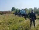 Поле дикорастущей конопли обнаружили и уничтожили уральские полицейские в селе