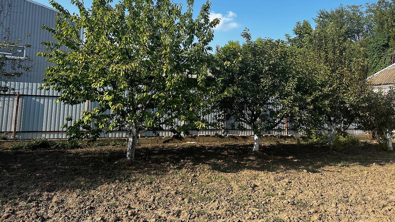 Главная картинка новости: Грядки будут на вес золота, если сделать это осенью — опытные аграрии дали дельный совет