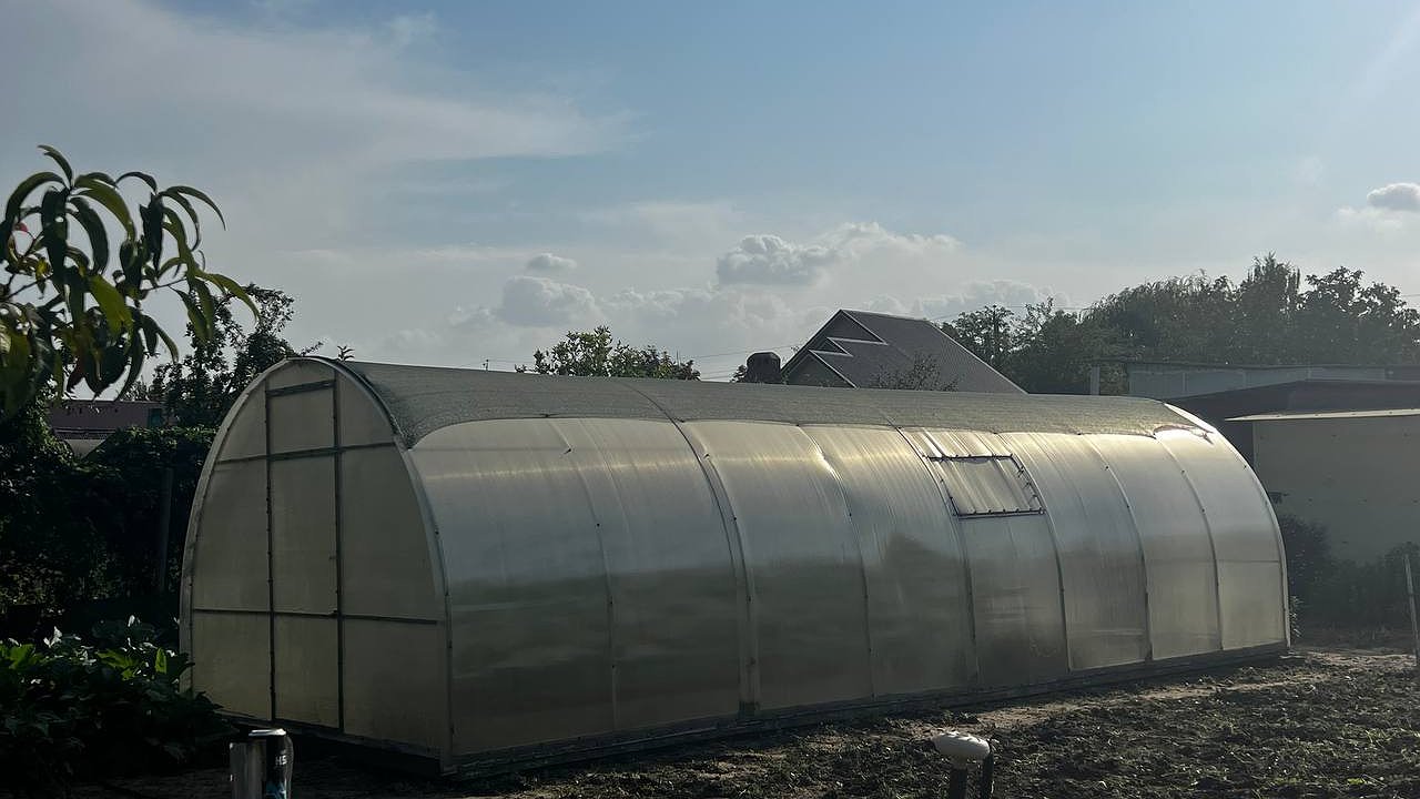 Главная картинка новости: Эта крупа превратит бетонную почву в чернозем в сентябре: экономно и действенно