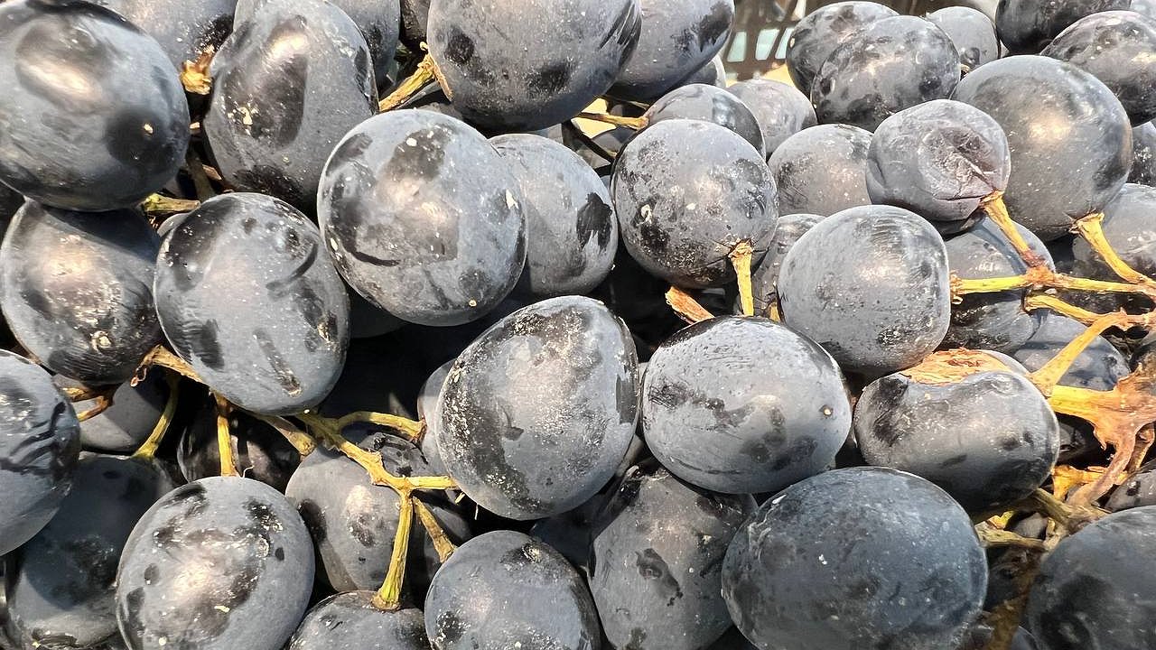 Главная картинка новости: "Выявлена самая вредная ягода": а мы ее покупаем как деликатес, еще и детей заставляем есть