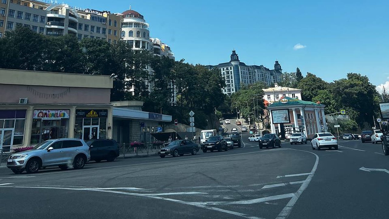 Главная картинка новости: Посадил рядом с выгребной ямой — и откачка больше не требуется: функционирует словно насос