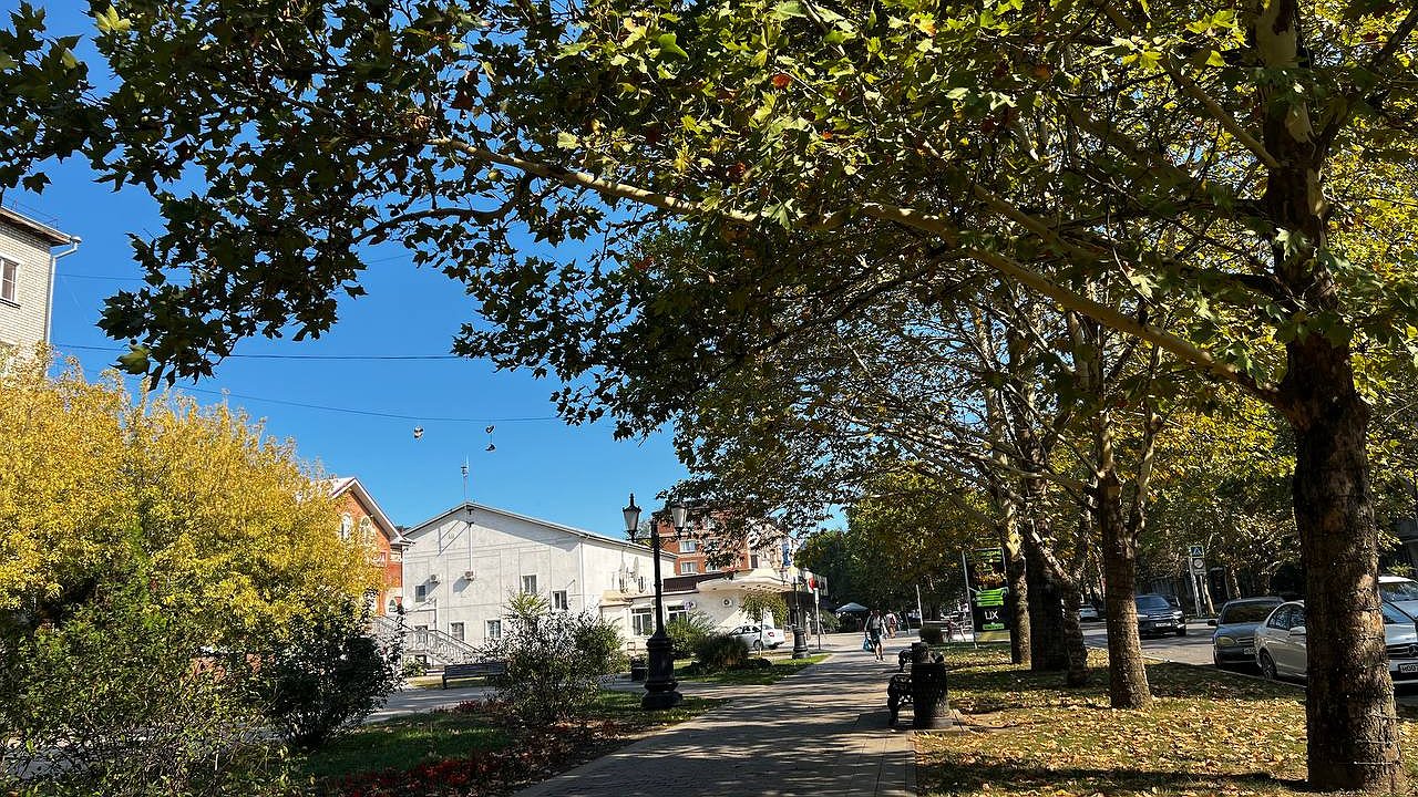 Главная картинка новости: Ждите раз в 30 лет: Василиса Володина назвала знаки, которых накроет денежный поток