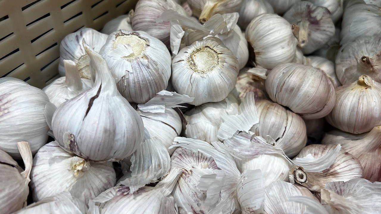 Главная картинка новости: Ошибки при посадке озимого чеснока, которые совершают даже опытные хозяйки