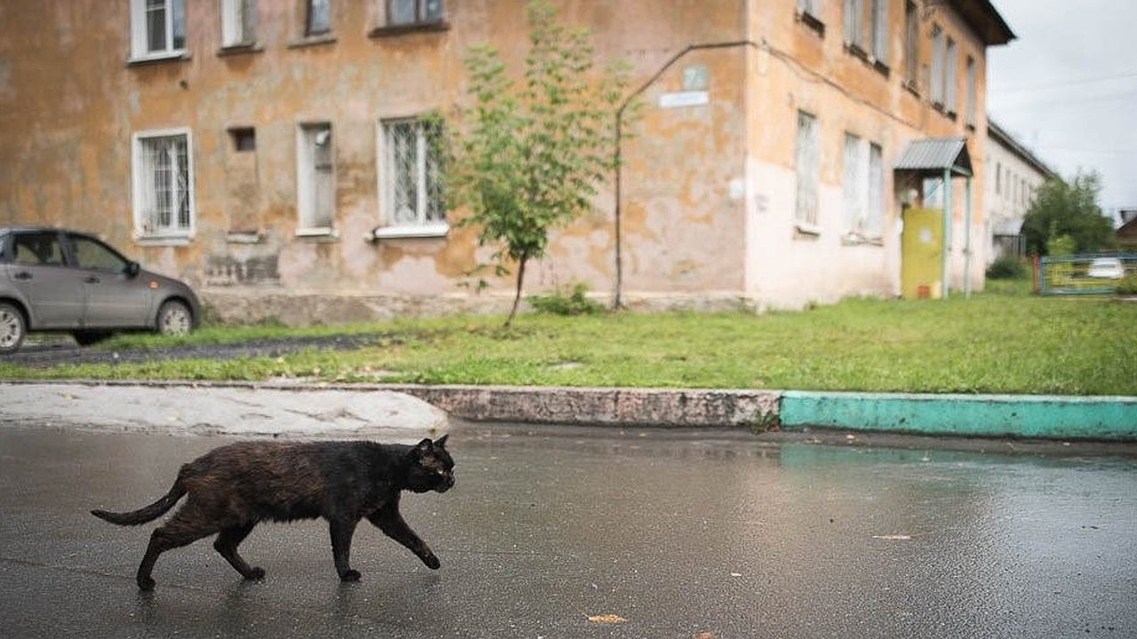 Главная картинка новости: В центре Екатеринбурга на аукцион выставят участок за 101 тысячу рублей