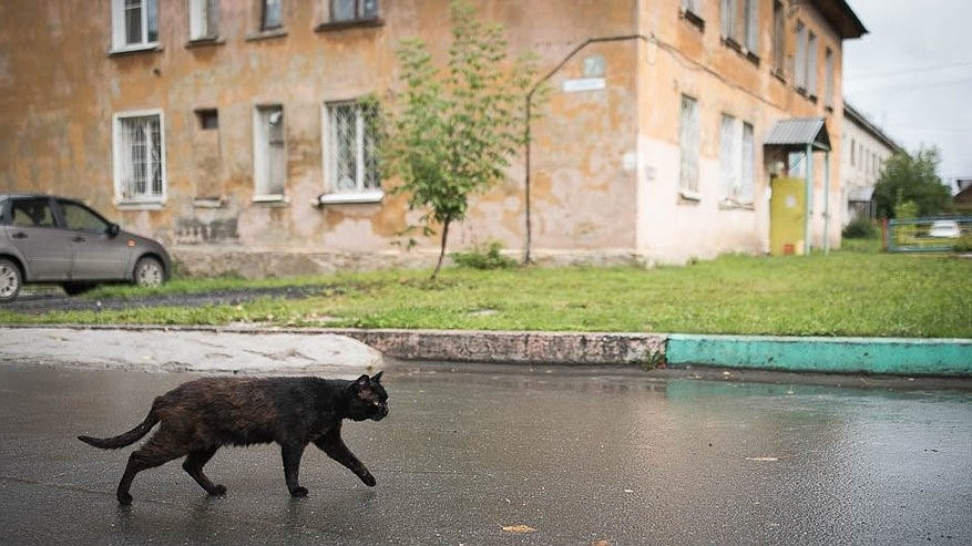 Главная картинка новости: В центре Екатеринбурга на аукцион выставят участок за 101 тысячу рублей