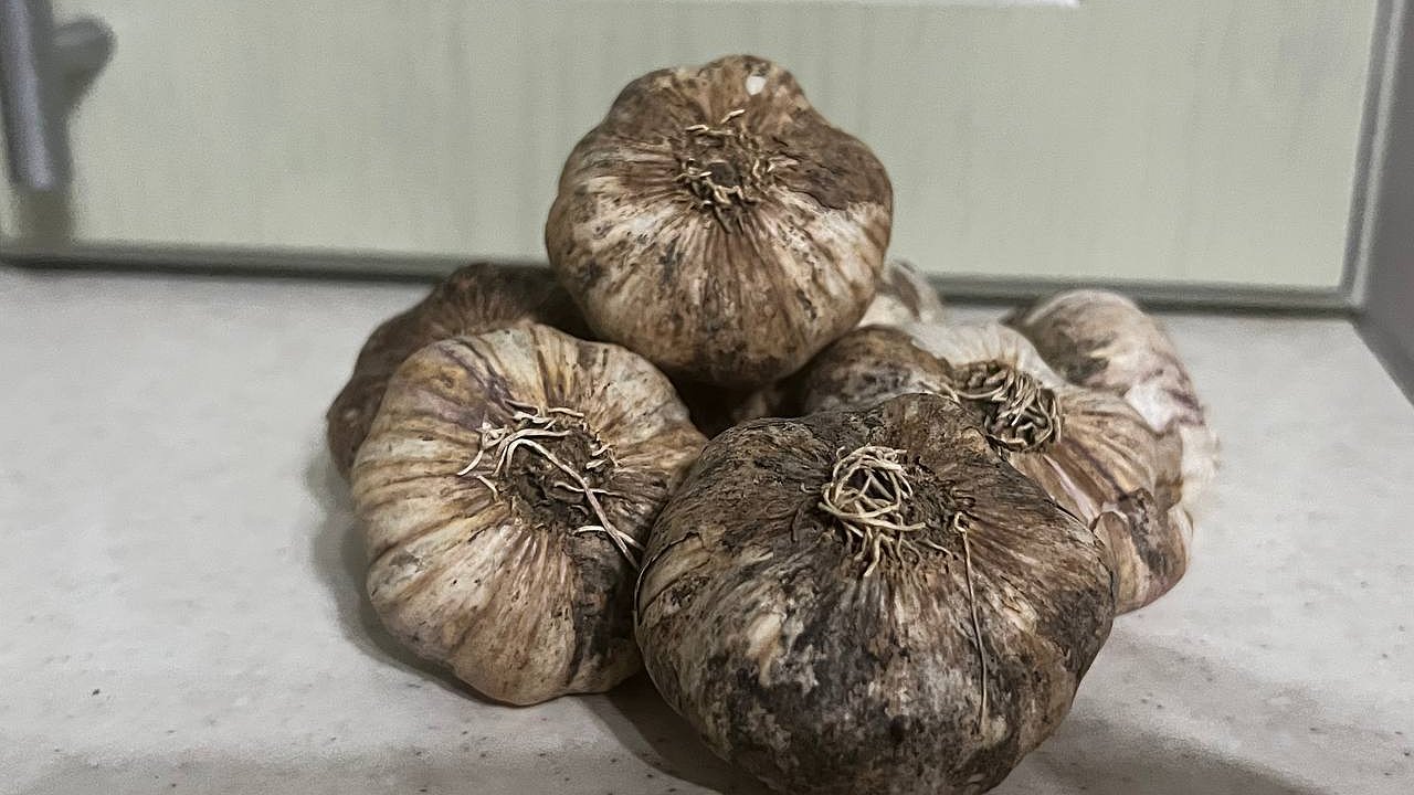 Главная картинка новости: Что подмешать в лунку при посадке озимого чеснока: советы агронома для крупного и здорового урожая