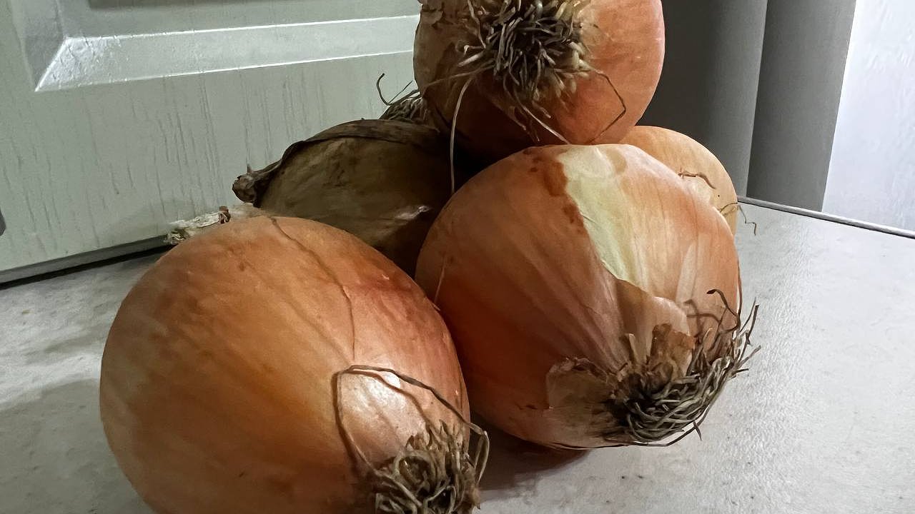 Главная картинка новости: Луковый соус для котлет: безумно вкусно не только с блюдами из мяса, но и просто с хлебушком