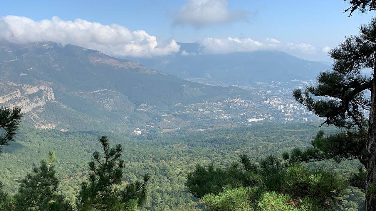 Главная картинка новости: Станут везунчиками 2025 года: именно эти три знака будут под покровительством все 12 месяцев