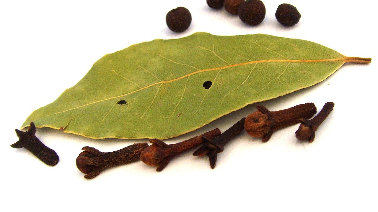 Главная картинка новости: Лавровый лист всегда находится в кошельке - и всем советую: вот как это действует, очень странно, но факт