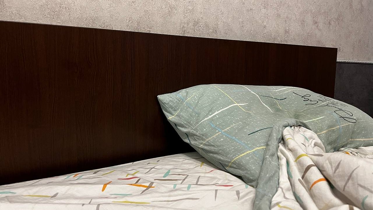 Главная картинка новости: Плесень и пылевые клещи: названы вредные для здоровья марки российских подушек