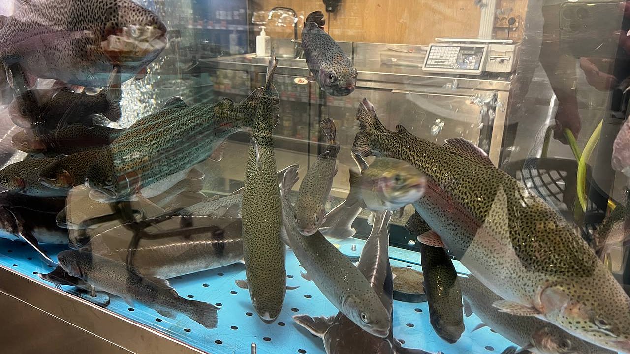 Главная картинка новости: Установлена полезная для человека рыба - ешьте 2 раза в неделю, богата селеном, фосфором и прекрасна на вкус