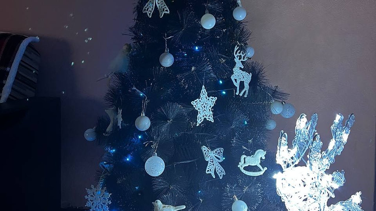 Главная картинка новости: Меню на новогодний стол: что стоит приготовить, а от чего – лучше отказаться