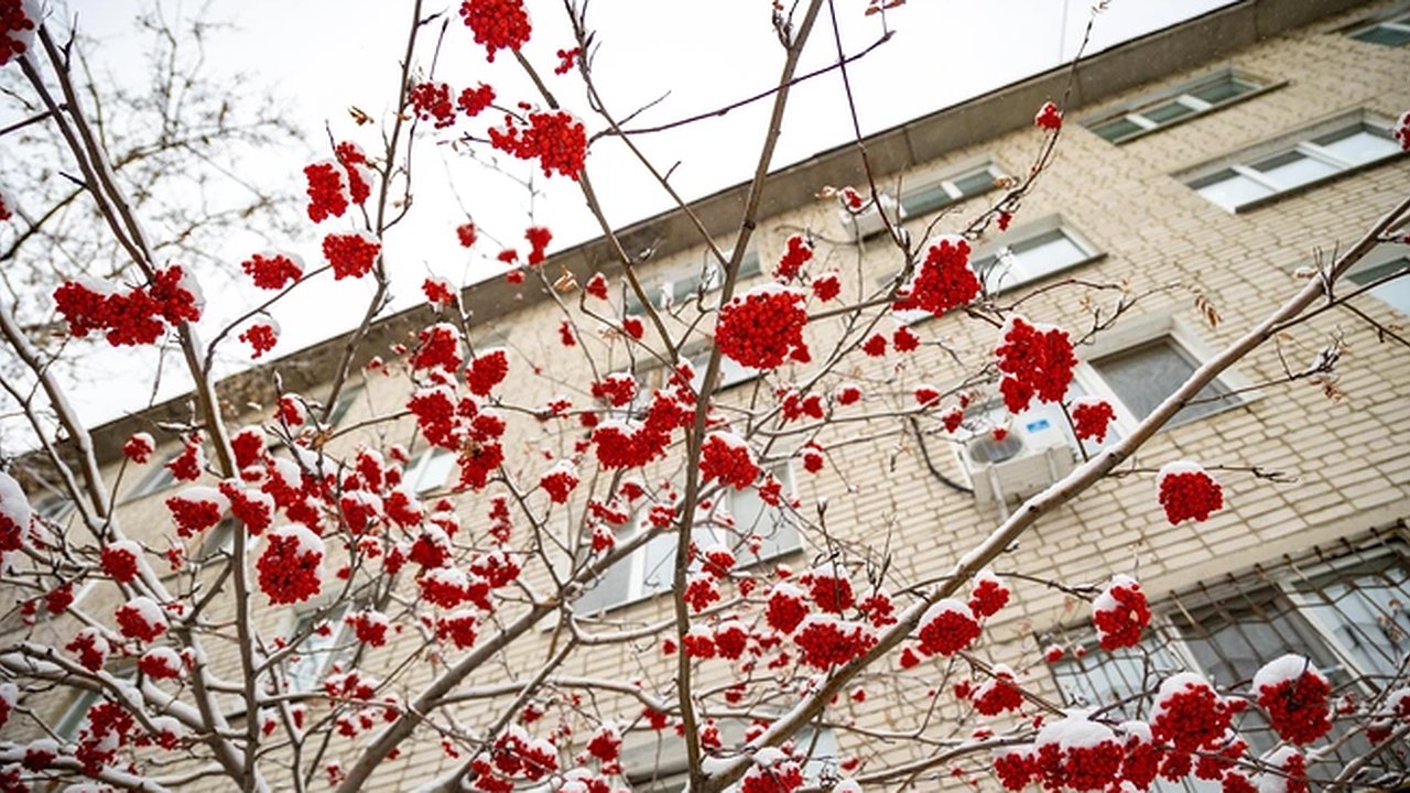 Главная картинка новости: Холод уйдёт: стало известно, сколько в Екатеринбурге продлится оттепель