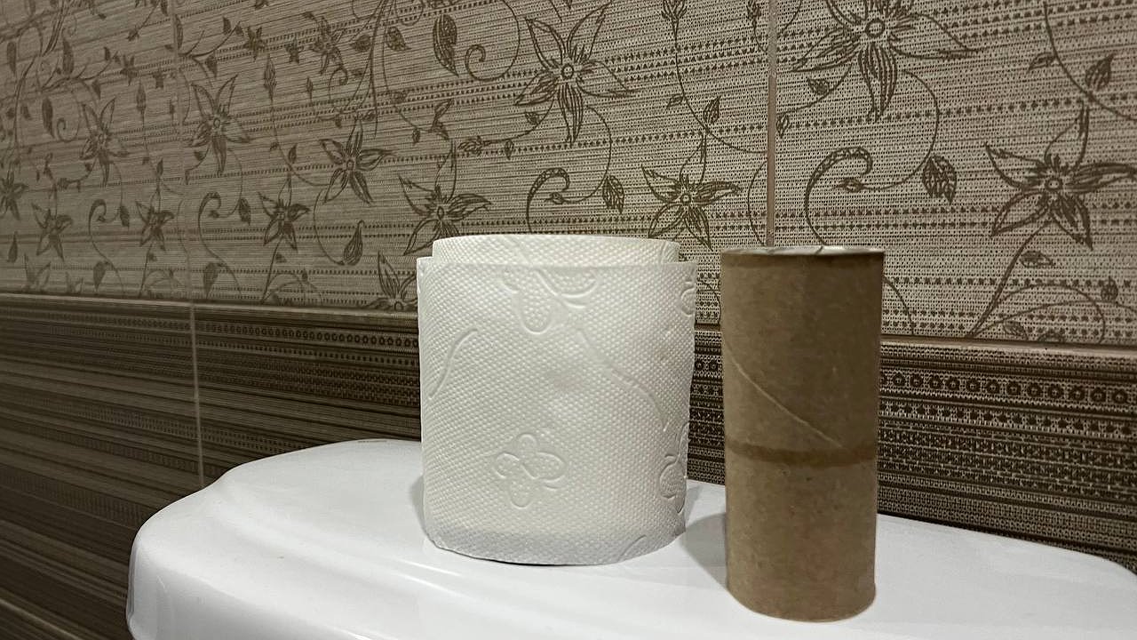 Главная картинка новости: Сохраните втулки от туалетной бумаги: 3 полезных совета для дачников