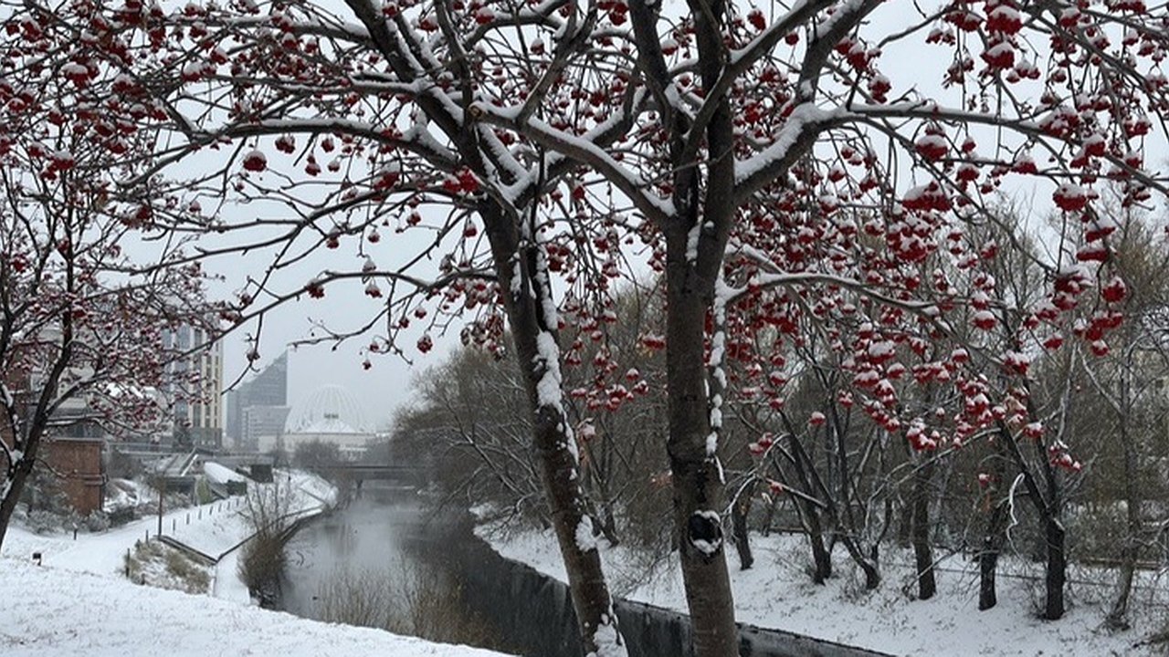 Главная картинка новости: Грядет холодный фронт: в Екатеринбурге ожидаются снегопады без морозов
