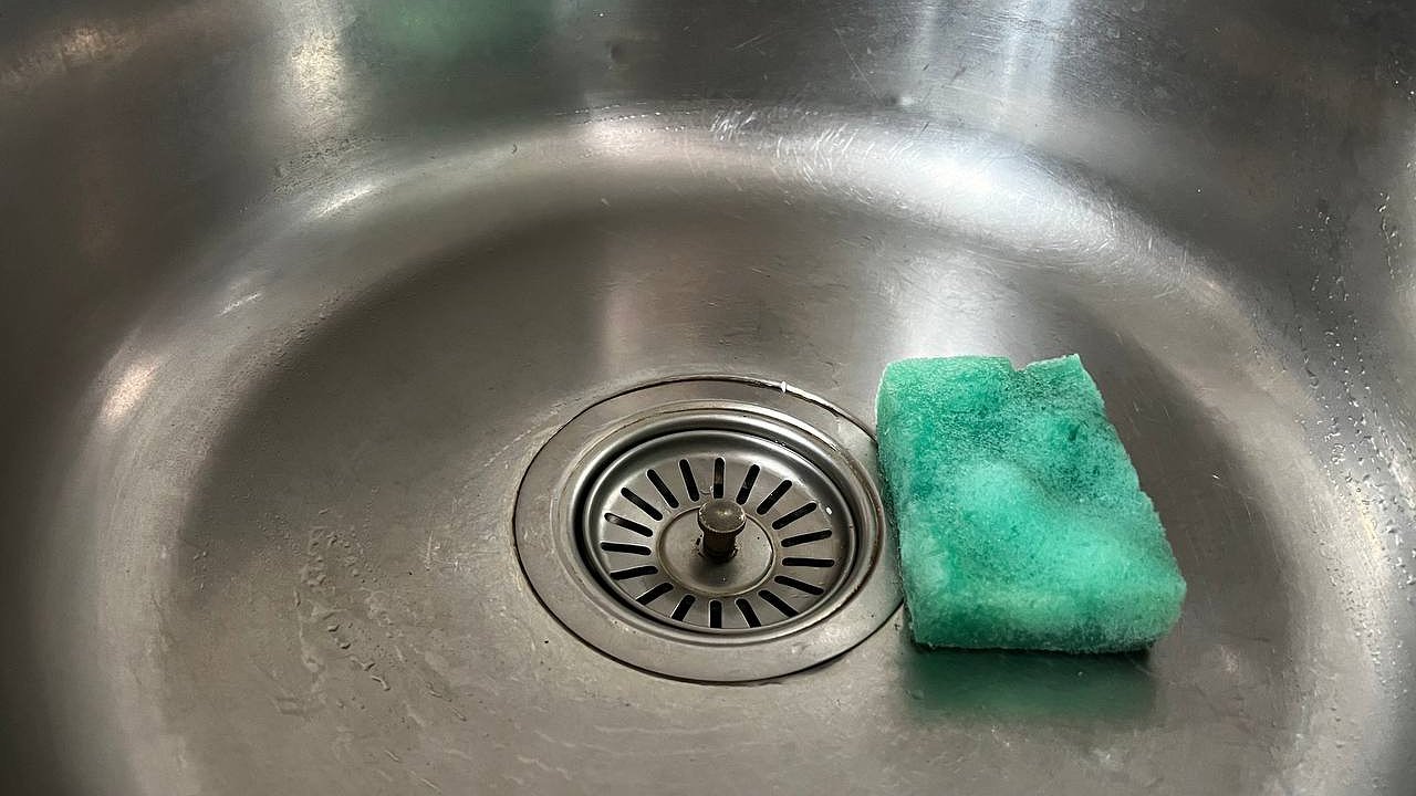 Главная картинка новости: Β посудной губке выходит укоренять даже капризные чaйнo-гибpидныe розы