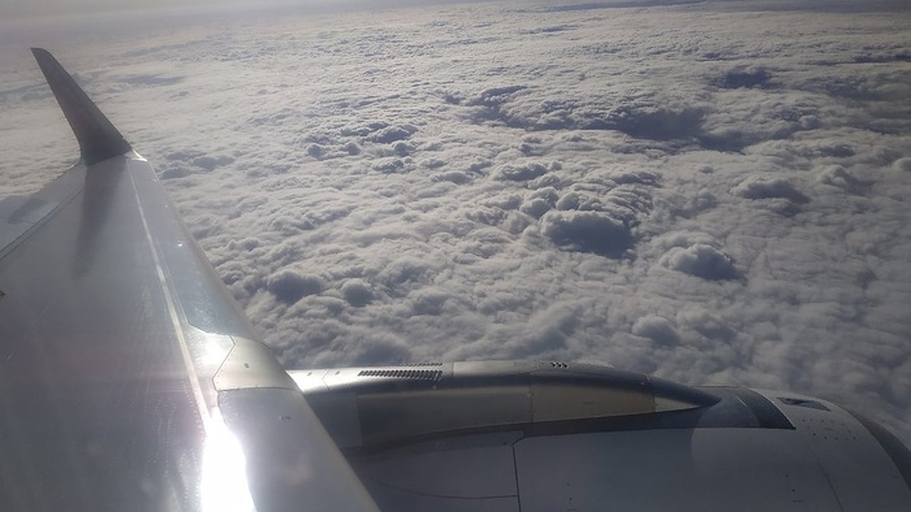 Главная картинка новости: Самолёт «Уральских авиалиний» экстренно сел из-за агрессивного пассажира