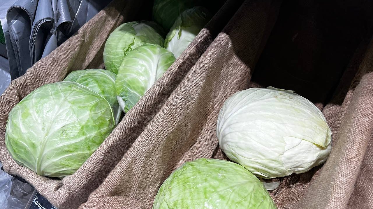 Главная картинка новости: Как правильно квасить капусту: секреты от опытных кулинаров