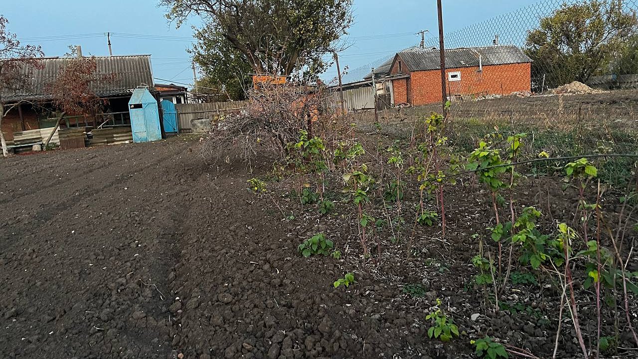 Главная картинка новости: Потеряют землю: всем, у кого участок в собственности - новое жесткое правило с 1 декабря