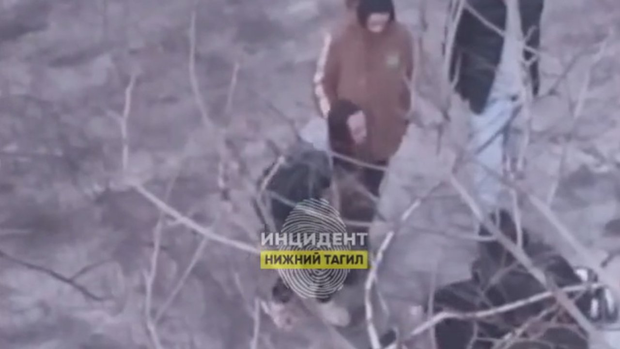 Главная картинка новости: Подростки жестко избили мужчину в Нижнем Тагиле