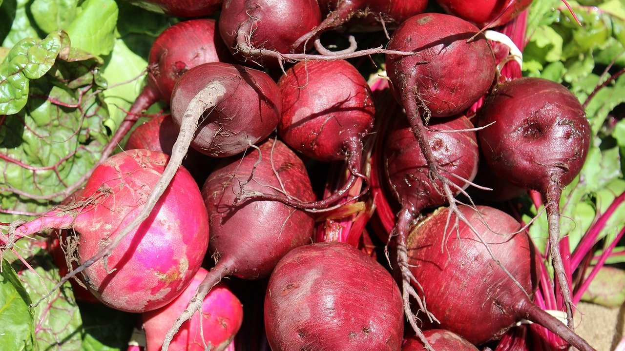 Главная картинка новости: Как сохранить свёклу до весны: простые и проверенные методы