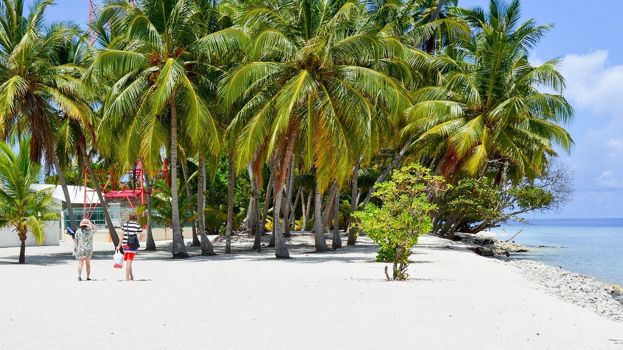 Главная картинка новости: Прямые рейсы из Екатеринбурга в экзотическую страну могут стартовать в 2025 году