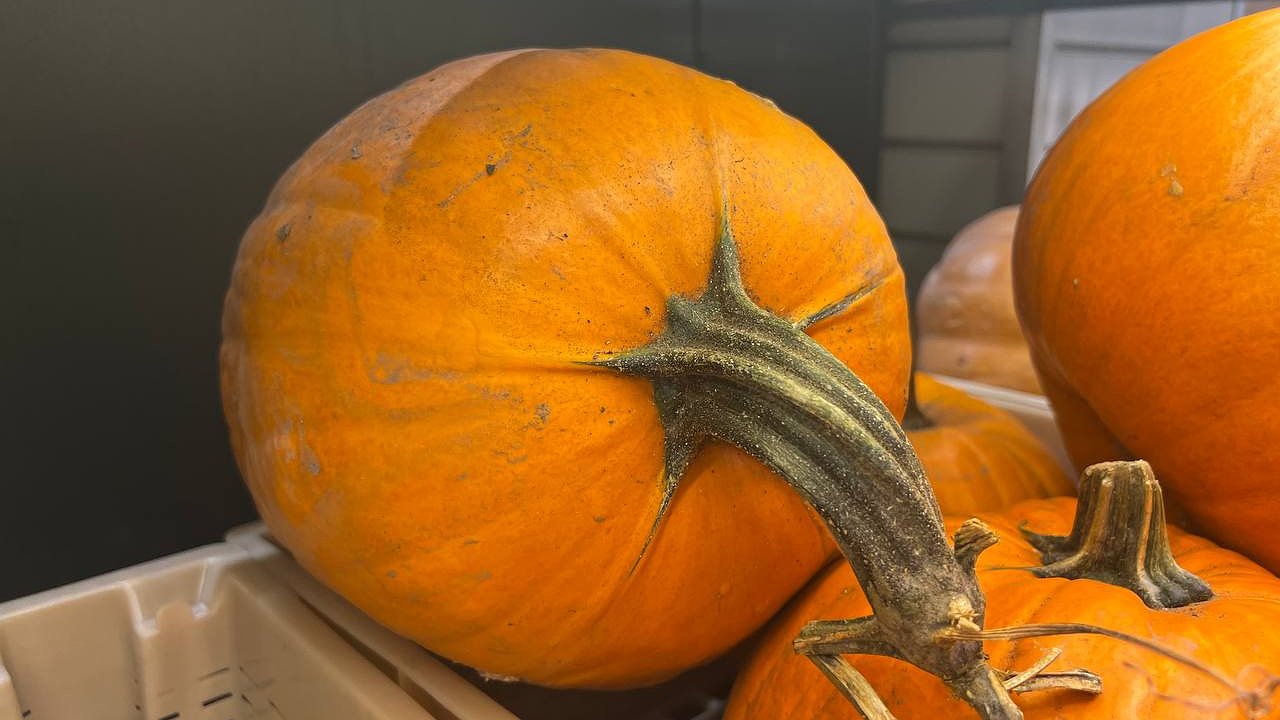 Главная картинка новости: Легкий рецепт изысканного супа с тыквой, сливками и морепродуктами — готовится всего 30 минут