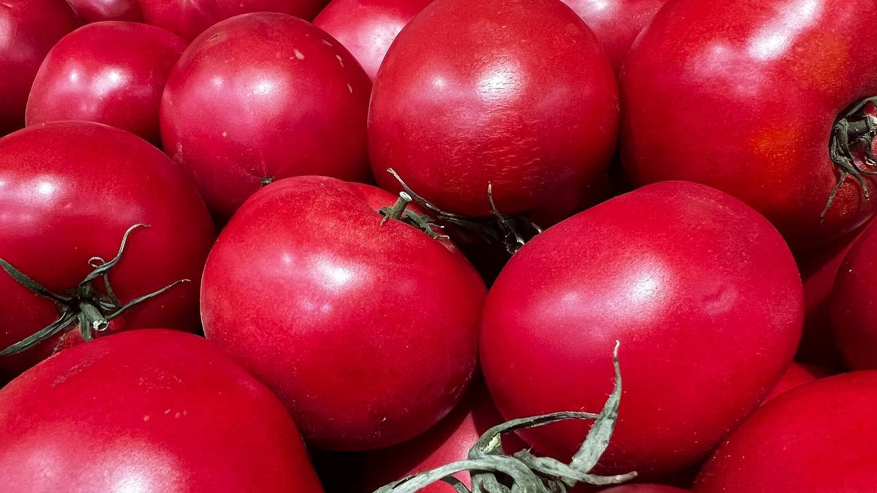 Главная картинка новости: Ушлые дачники закупают семена этих помидоров с декабря: Крупные, сладкие, холодостойкие
