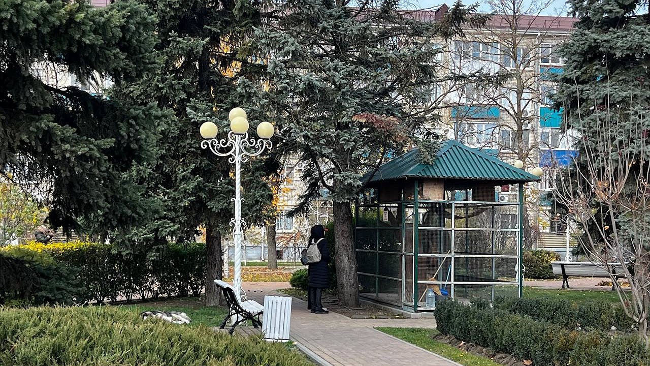 Главная картинка новости: Школьники прыгают от радости: обнародованы группы выпускников, которые не будет сдавать ОГЭ