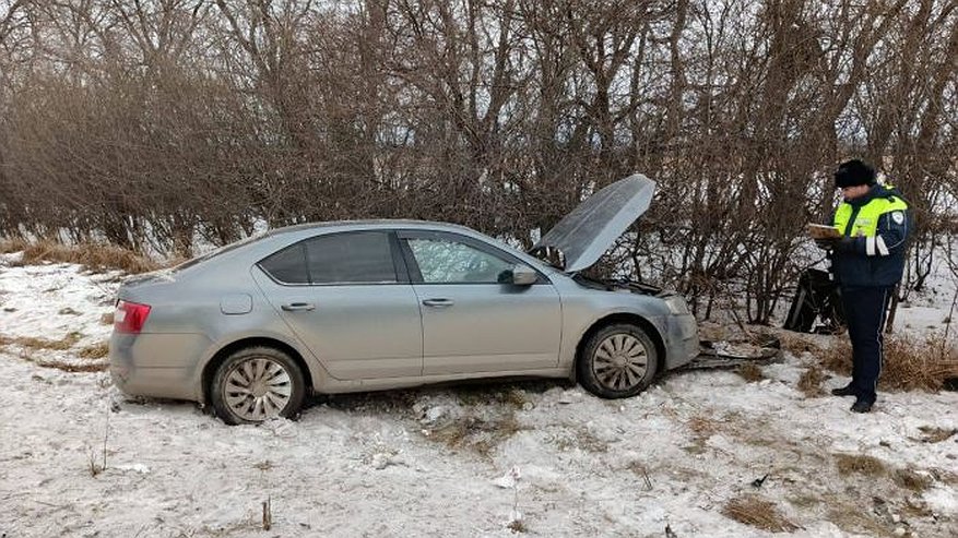Главная картинка новости: Трагедия на трассе: под Заречным в результате обгона погибла пассажирка "Шкоды"