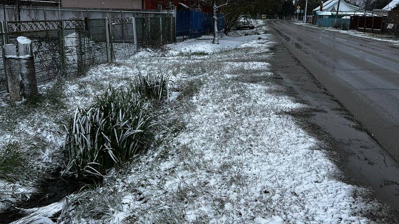 Главная картинка новости: Льем на лед — и он тает прямо на глазах: дорожки на участке будут чистыми и в мороз