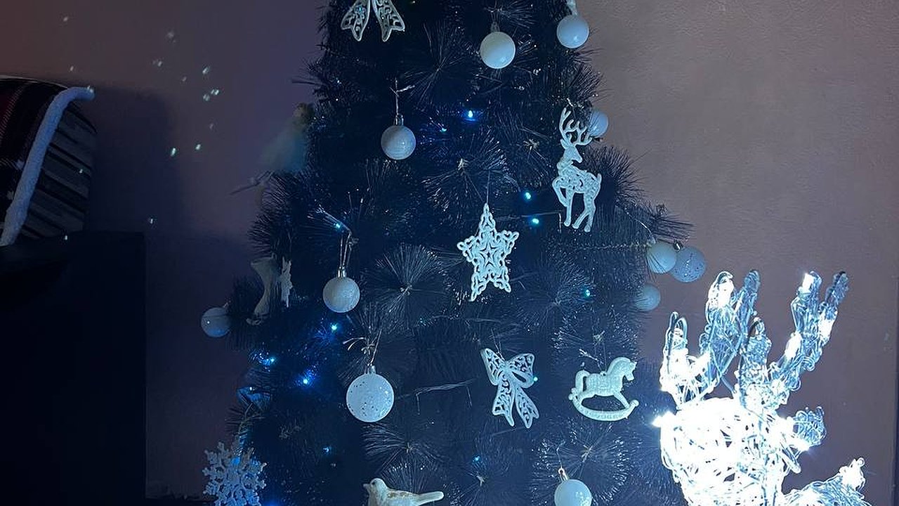 Главная картинка новости: Свердловчане реже стали покупать на Новый год живые ёлки